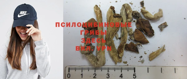 мяу мяу мука Навашино