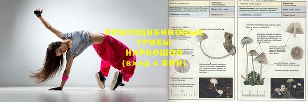 а пвп мука Абдулино