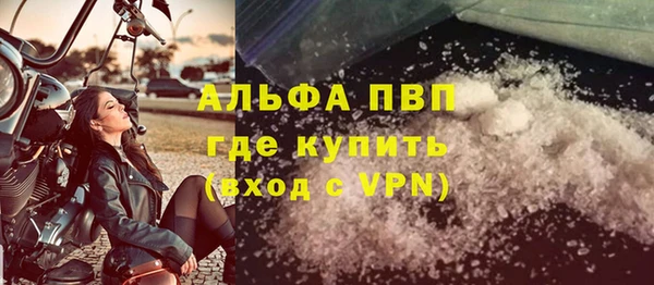 прущие грибы Абаза