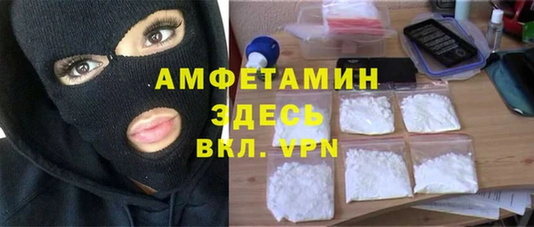 прущие грибы Абаза